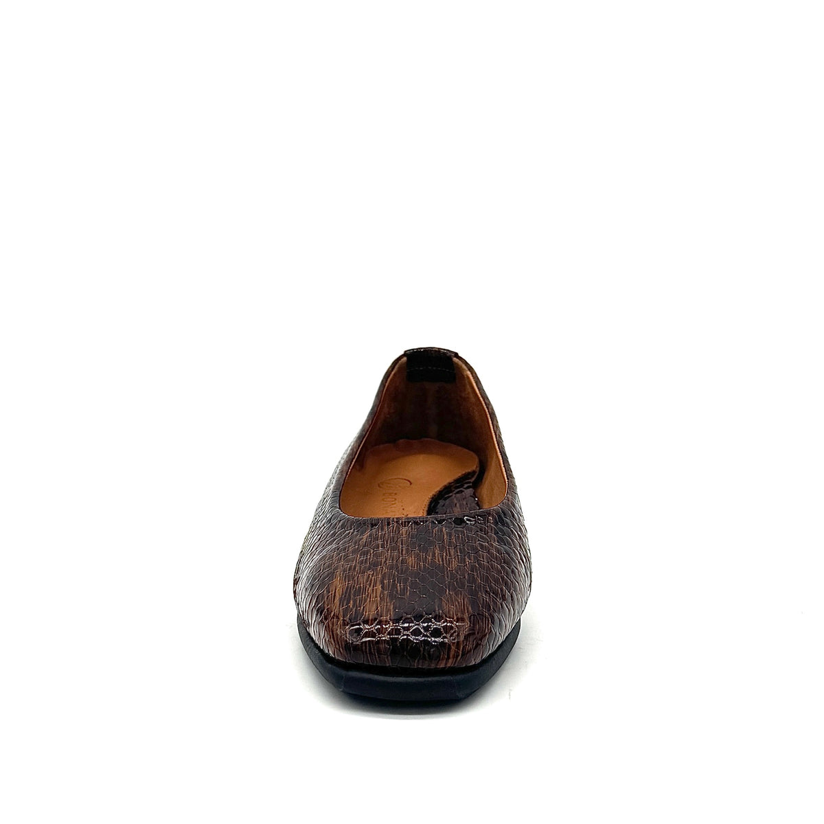 BONAVI Simone genuine leather snake-embossed pointed toe flat in brown with low wedge heel